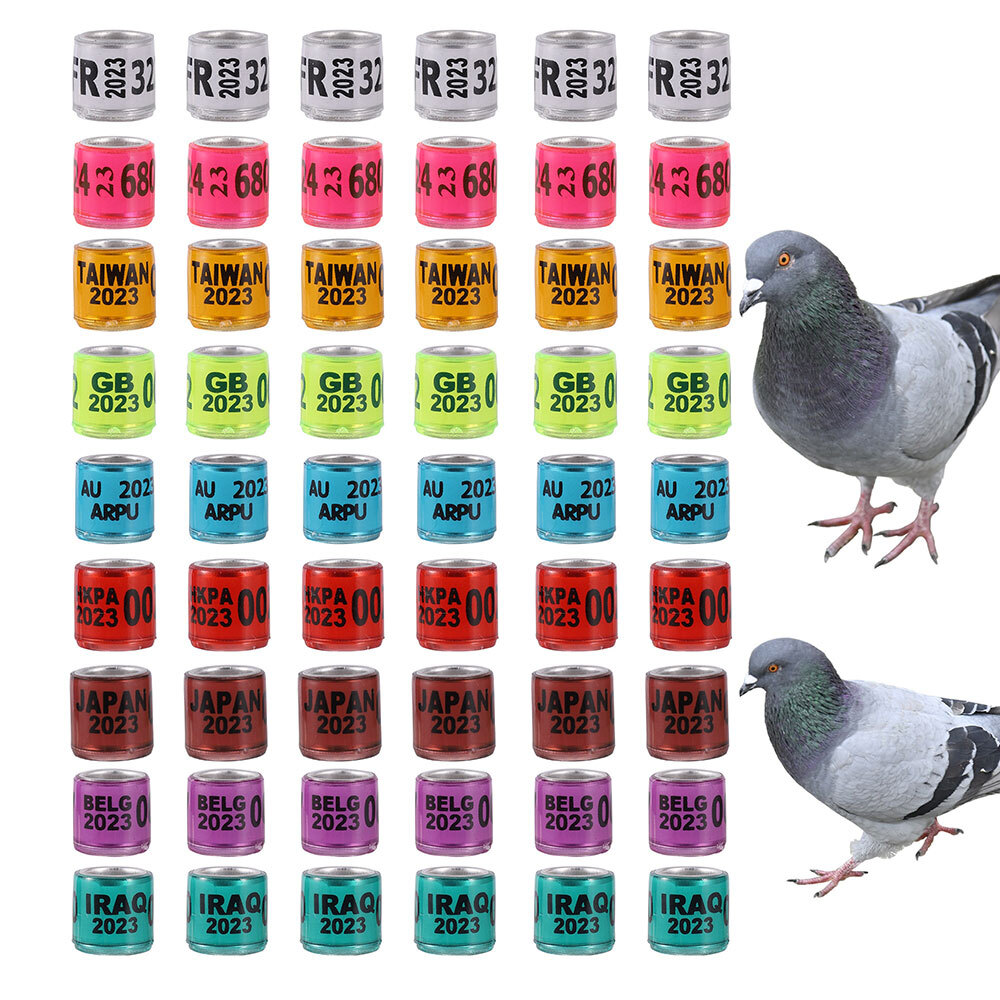 For 2023 Racing Multicolor Pigeon Rings Leg Bands ARPU Bird Foot Ring 8mm 100Pcs