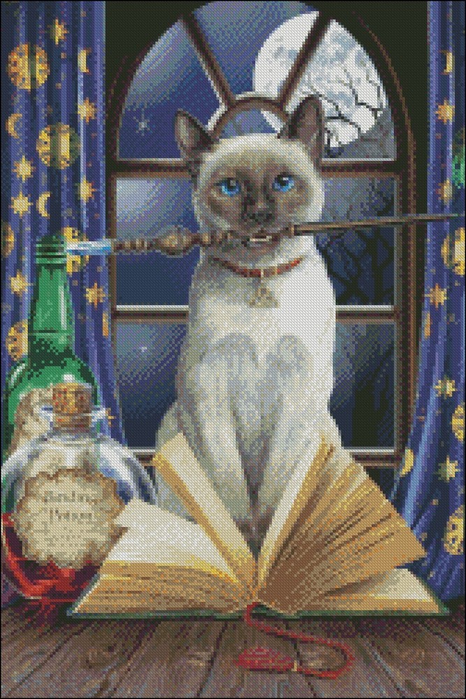 Counted Cross Stitch Kits Needlework Crafts DIY - Hocus Pocus