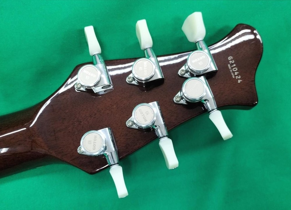 RYOGA CICADA-G2E Electric Guitar