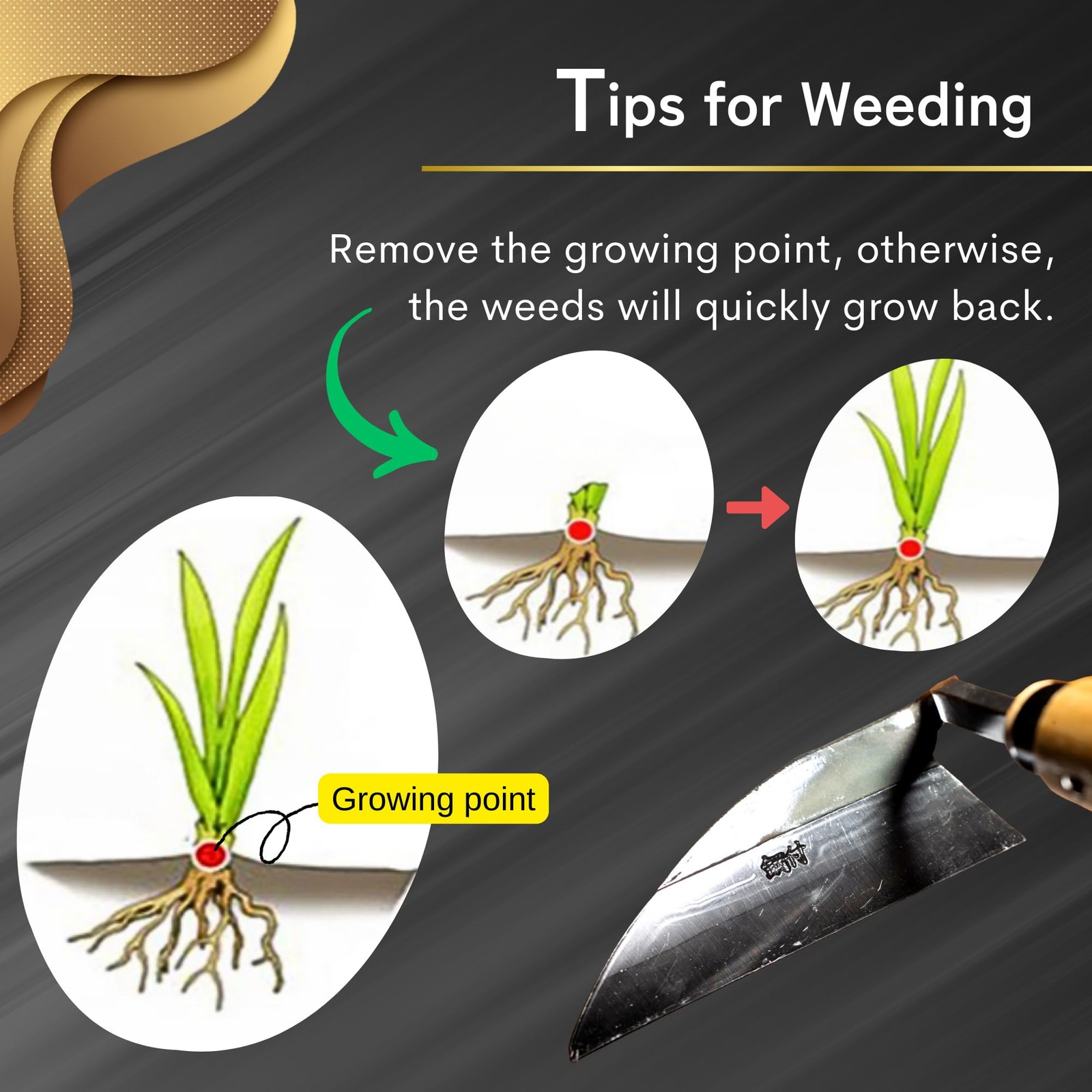 nascom Premium Japanese Weeding Sickle Hand Hoe for Gardening - Ideal for Pla...