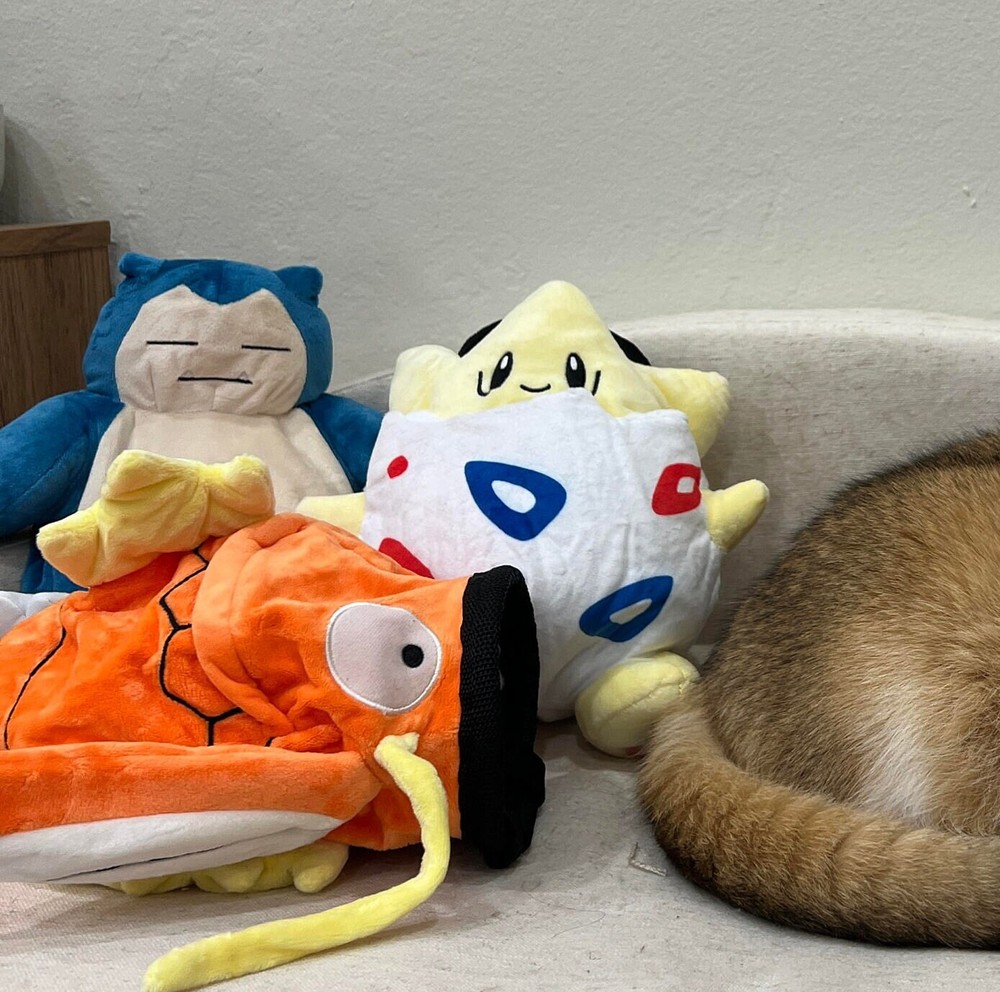 Snorlax Chalk Bag
