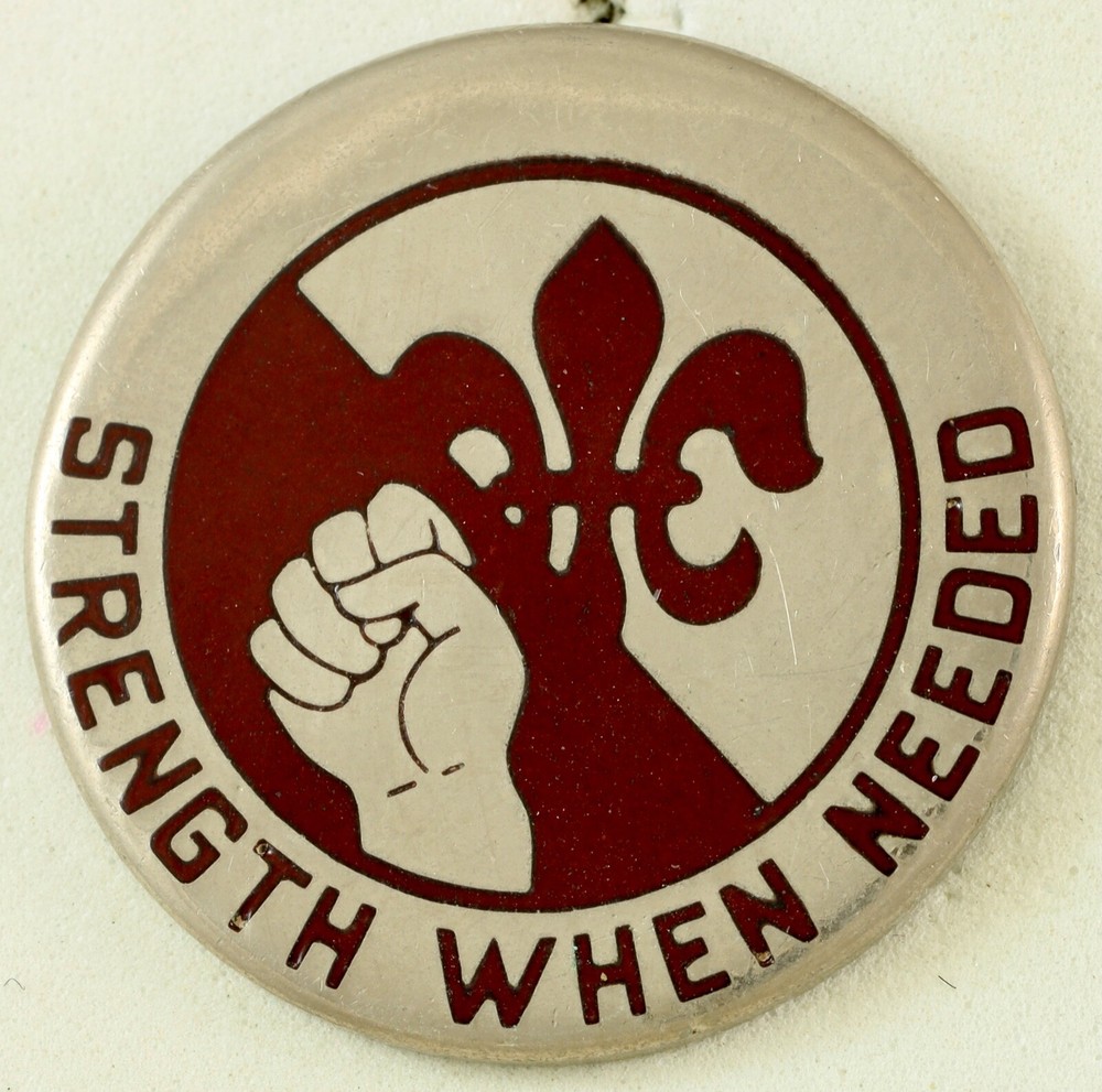 249th General Hospital Crest DI/DUI CB