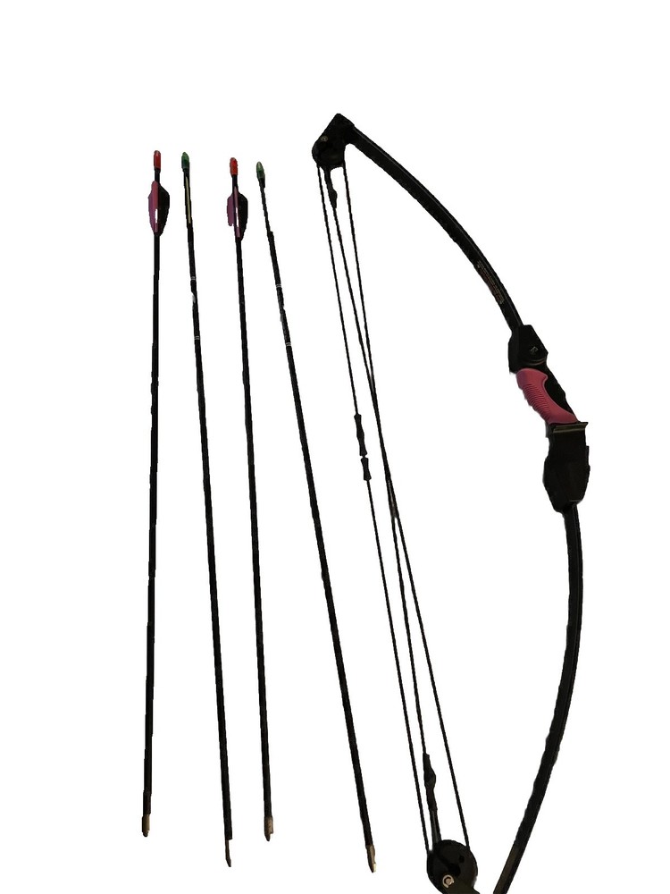 Compound archery bow for sale Plus Four Arrows