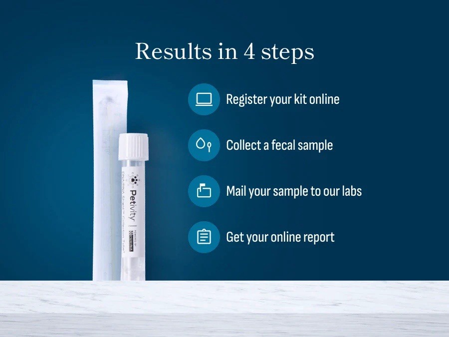 Petivity Microbiome Analysis Kit — Basic for Cats and Dogs Powered by Purina ...