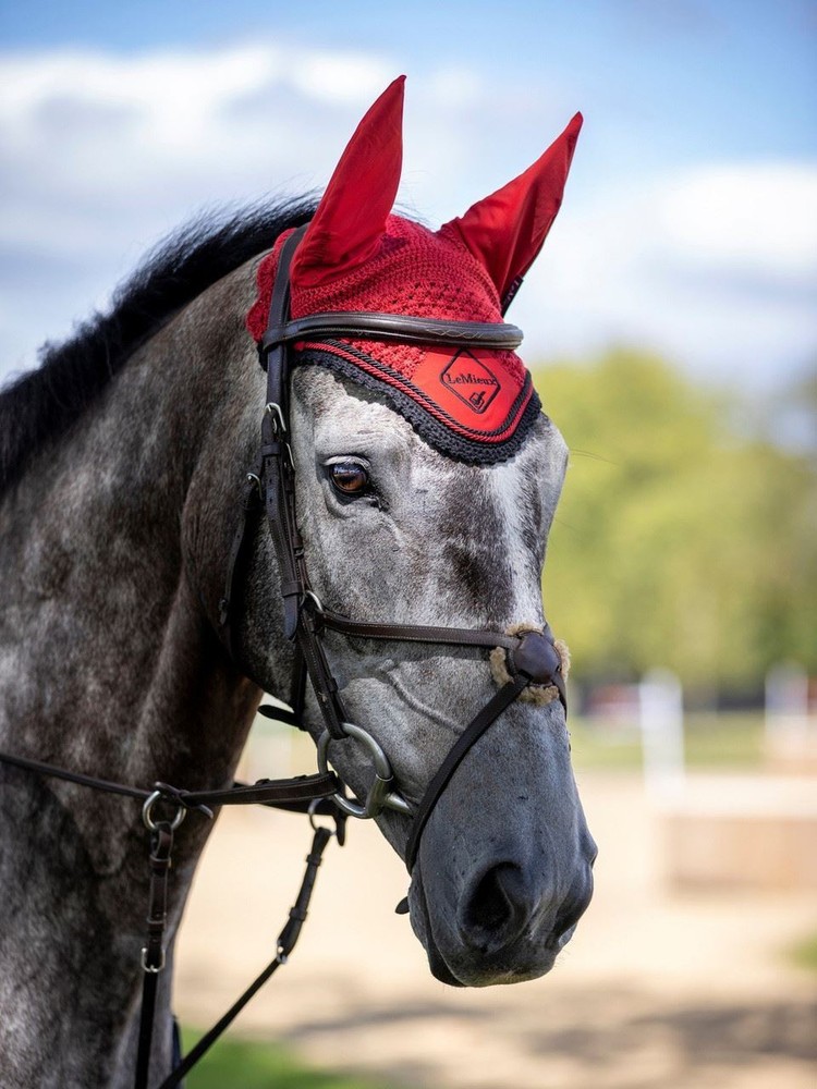 LeMieux Classic Fly Hood - Chilli/Black