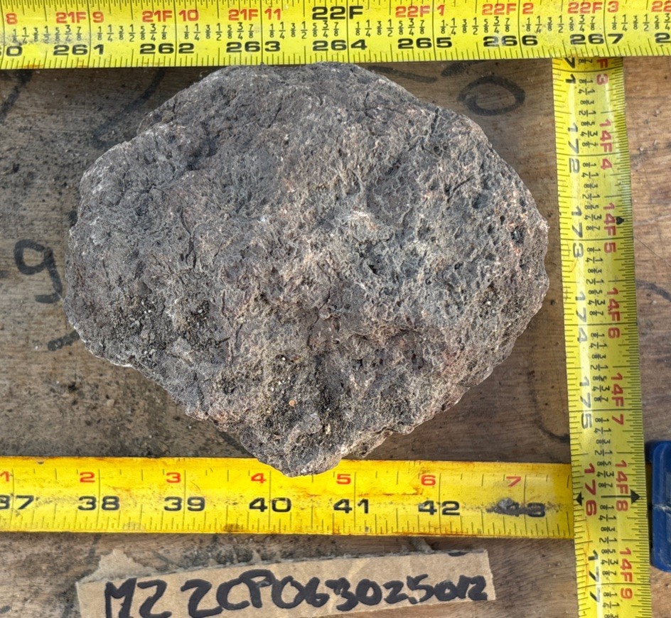Large Coprolite Fossil dinosaur