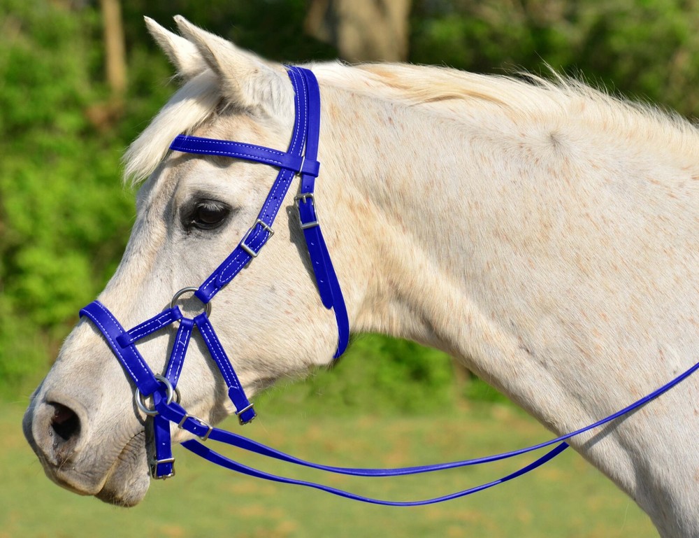 PONY SIZE Any Color SIDEPULL Bitless BRIDLE & REINS made w Beta Biothane