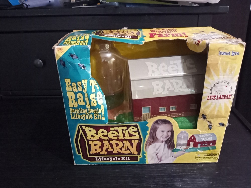 BEETLE  FARM Insect Lore Lifecycle Kit