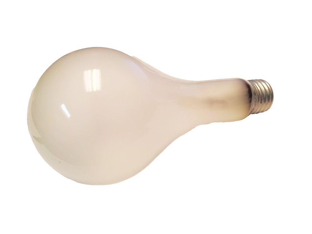 ECT "Original" General Electronics Photo Flood Lamp 120V 1 pc