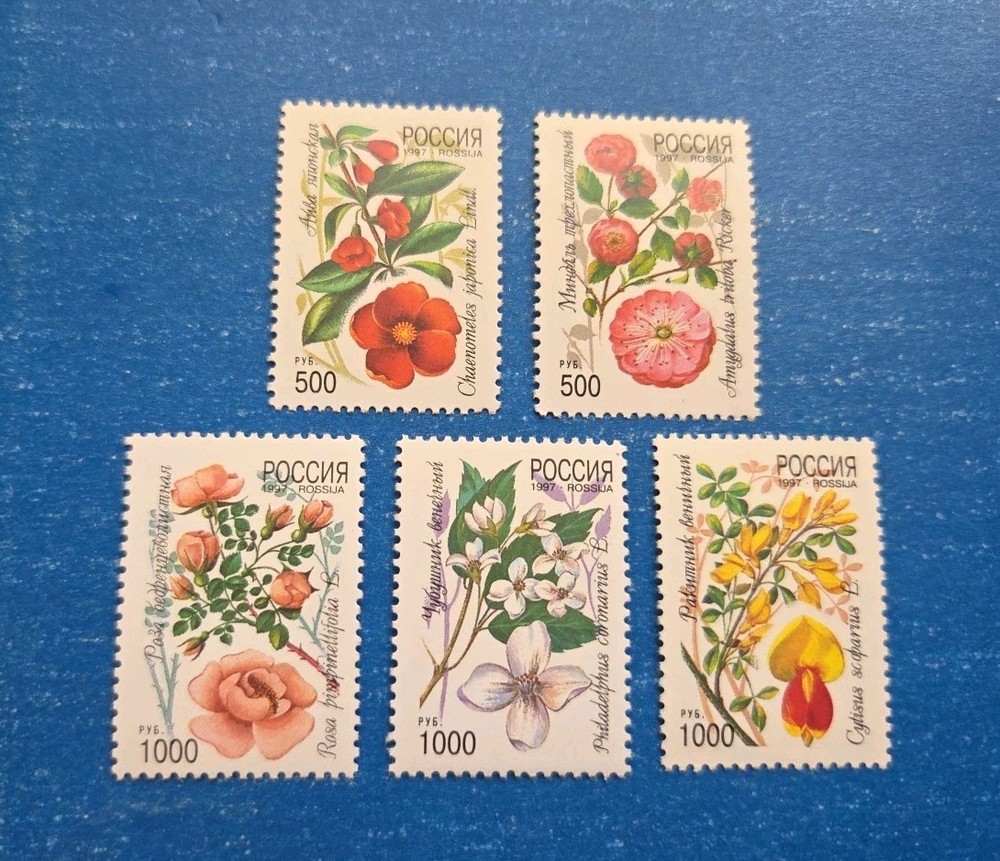 Russia Stamps, Scott 6363-6367 Complete Set MNH