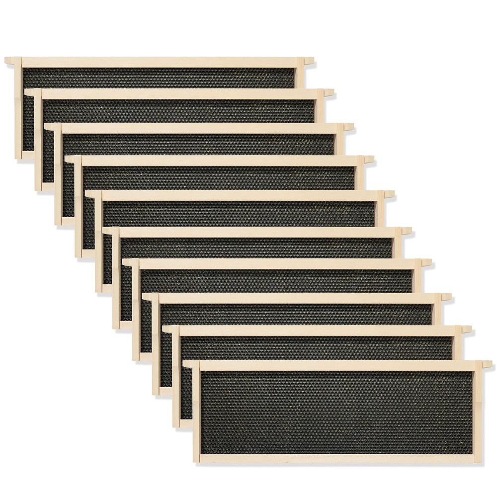 10-Pack Unassembled Medium Super Waxed Frames - Black
