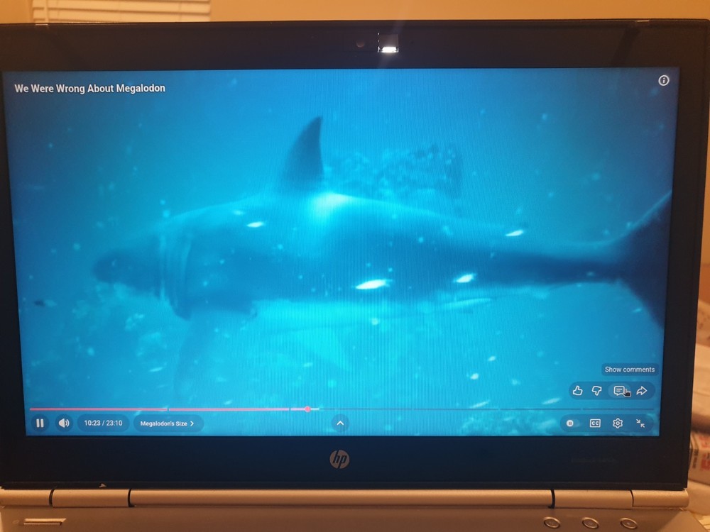 Linux Kali 2025.4, 64-bit, Bootable Live and Install USB Flash Drive