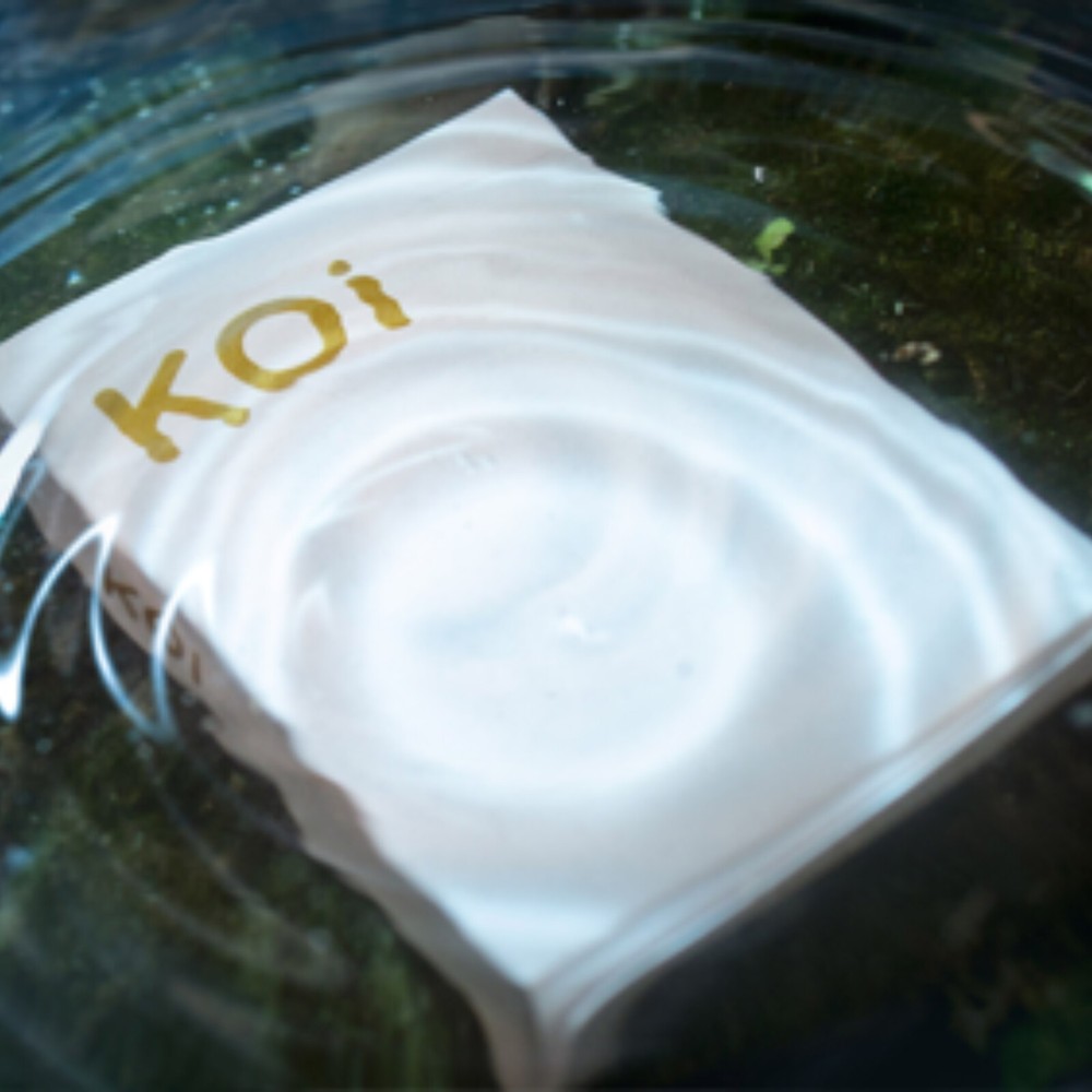 Koi V2 Playing Cards by Byron Leung
