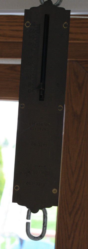 Hanging Spring Balance Scale 80 Pounds Chatillons Improved