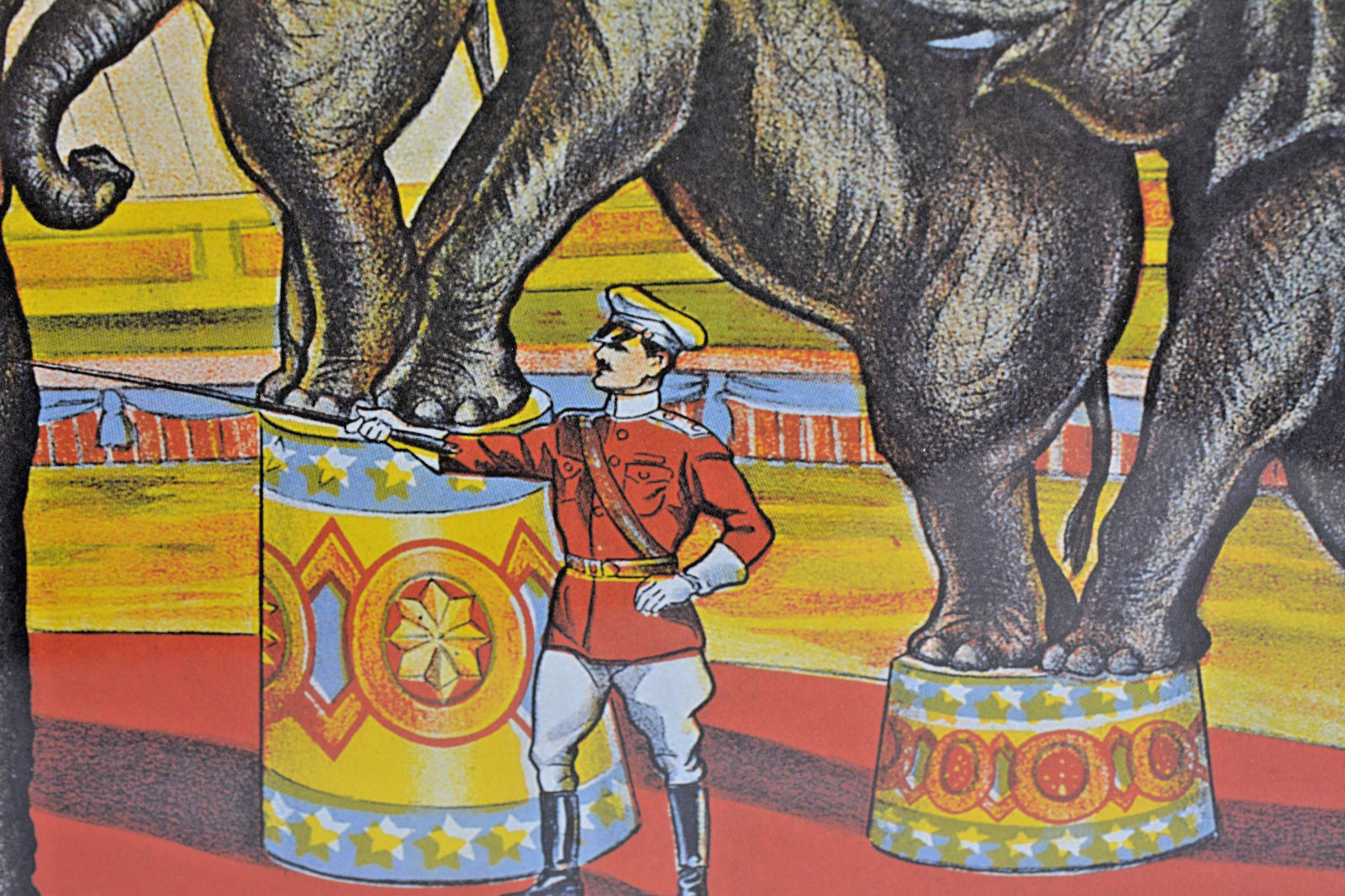 Cole Bros Circus Elephant Poster 1990s French Reproduction Professionally Framed