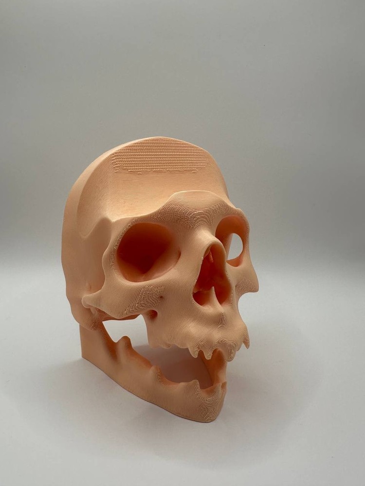 Skull PS5 Controller Wall Mount Holder Stand Gaming Decor Headset Hook