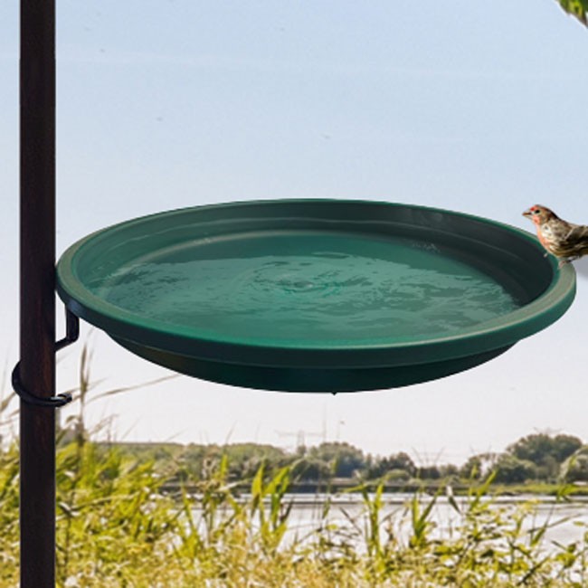 Erva Quick Connect Pole Mount Bird Bath, Green