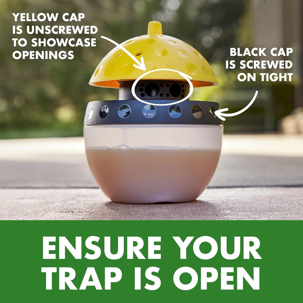 Wasp Hornet Yellowjacket Trap for Quick-Drown Insect Control