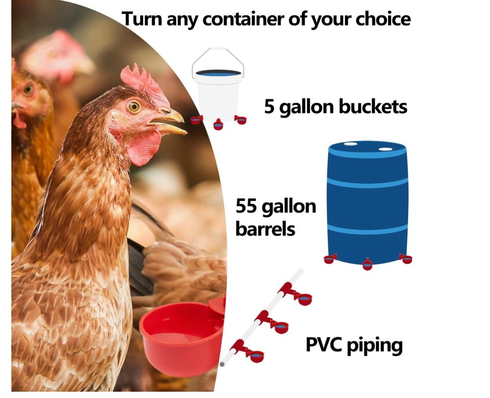 6 PCS Automatic Water Cups Poultry Drinker Waterer Chicken Duck Quail Drinking
