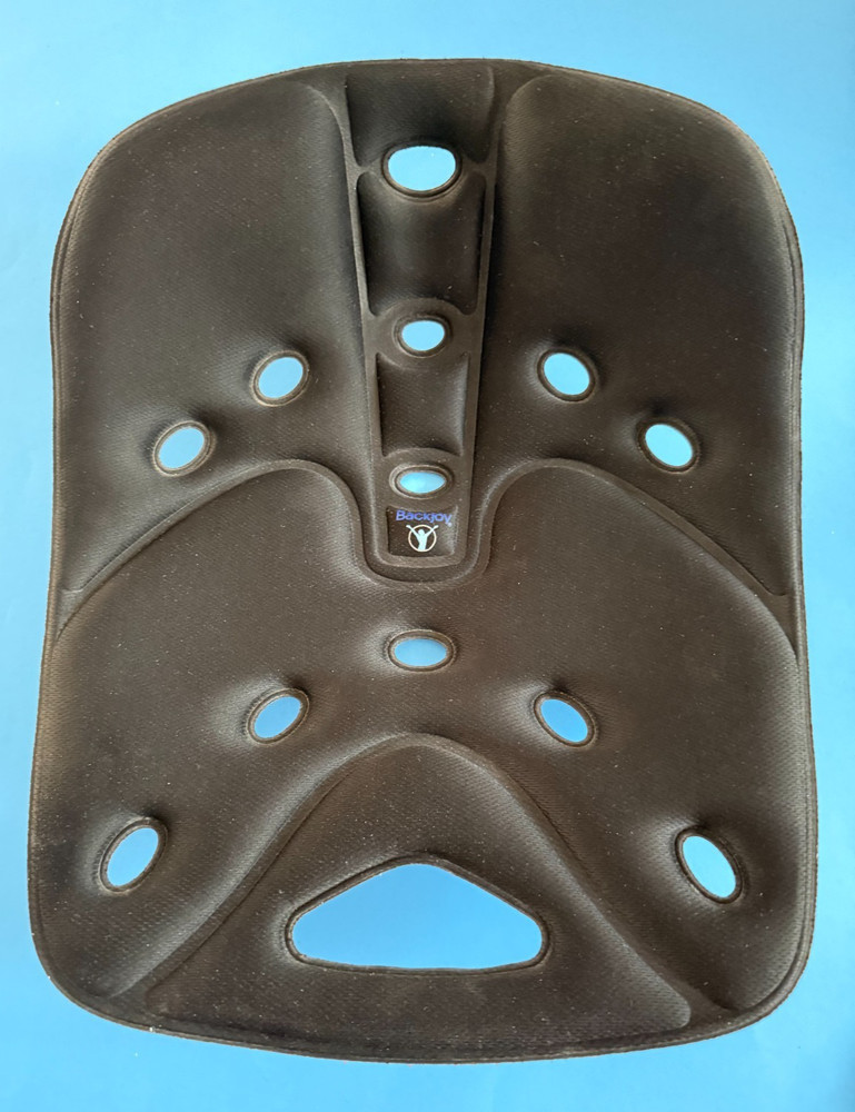 BackJoy Sit Smart Posture Lumbar Support Seat ~ Black ~ Padded ~ 2013 ~ EUC