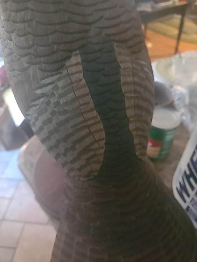 Turkey Decoy Lifesize On Wood Base