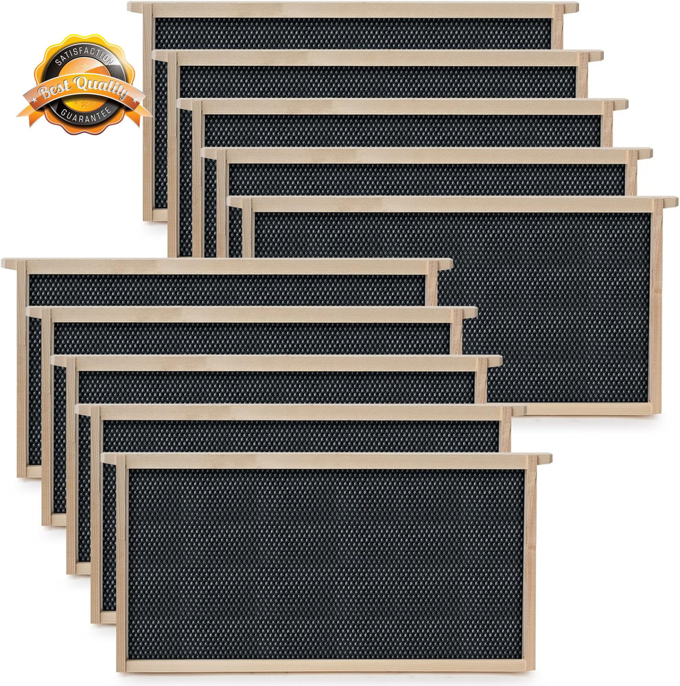 10 Deep Beehive Frame Kit Foundations for Langstroth Beekeeping 70