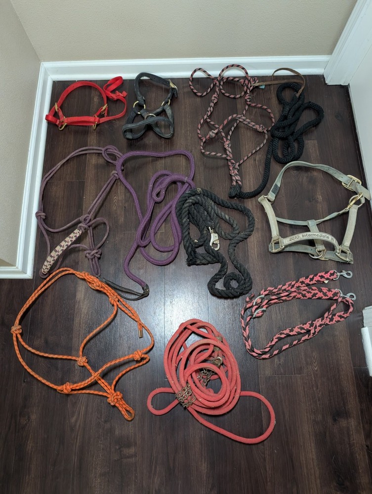 Large Tack Lot Over 30 Items!