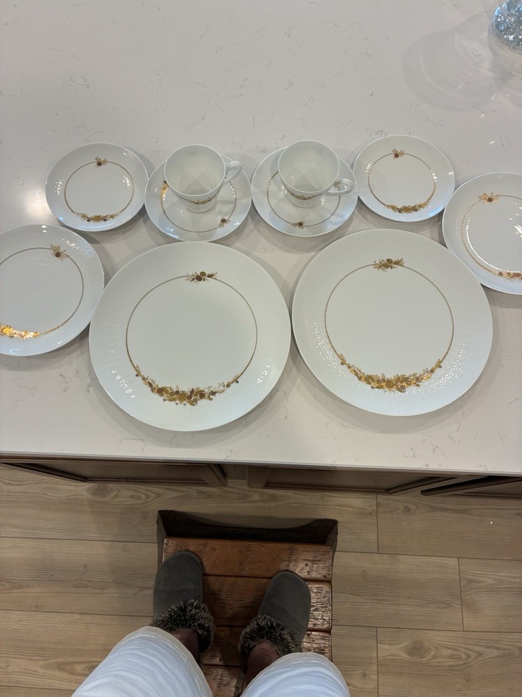 Rosenthal Romantic Medley 5piece Place Settings . Two Complete Sets.