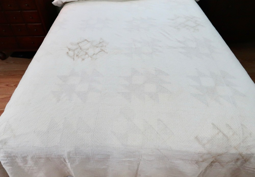 Fox and Geese Antique Quilt