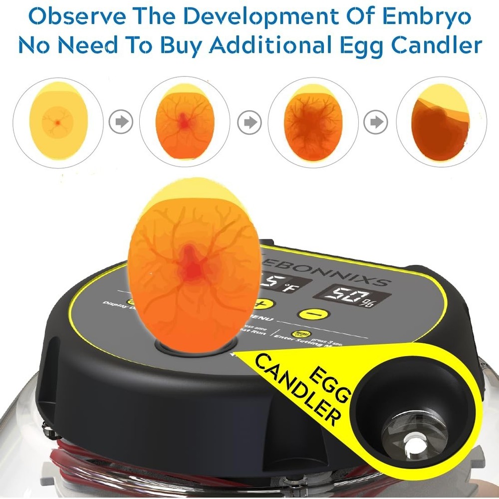 12 Egg Incubator with Humidity Display, Egg Candler, Automatic Egg Turner, fo...