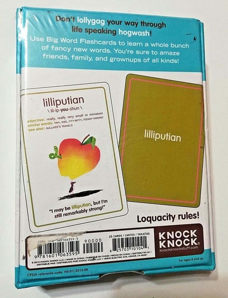 Big Word Flashcards Language Introduction Practice Cards Sealed NIB