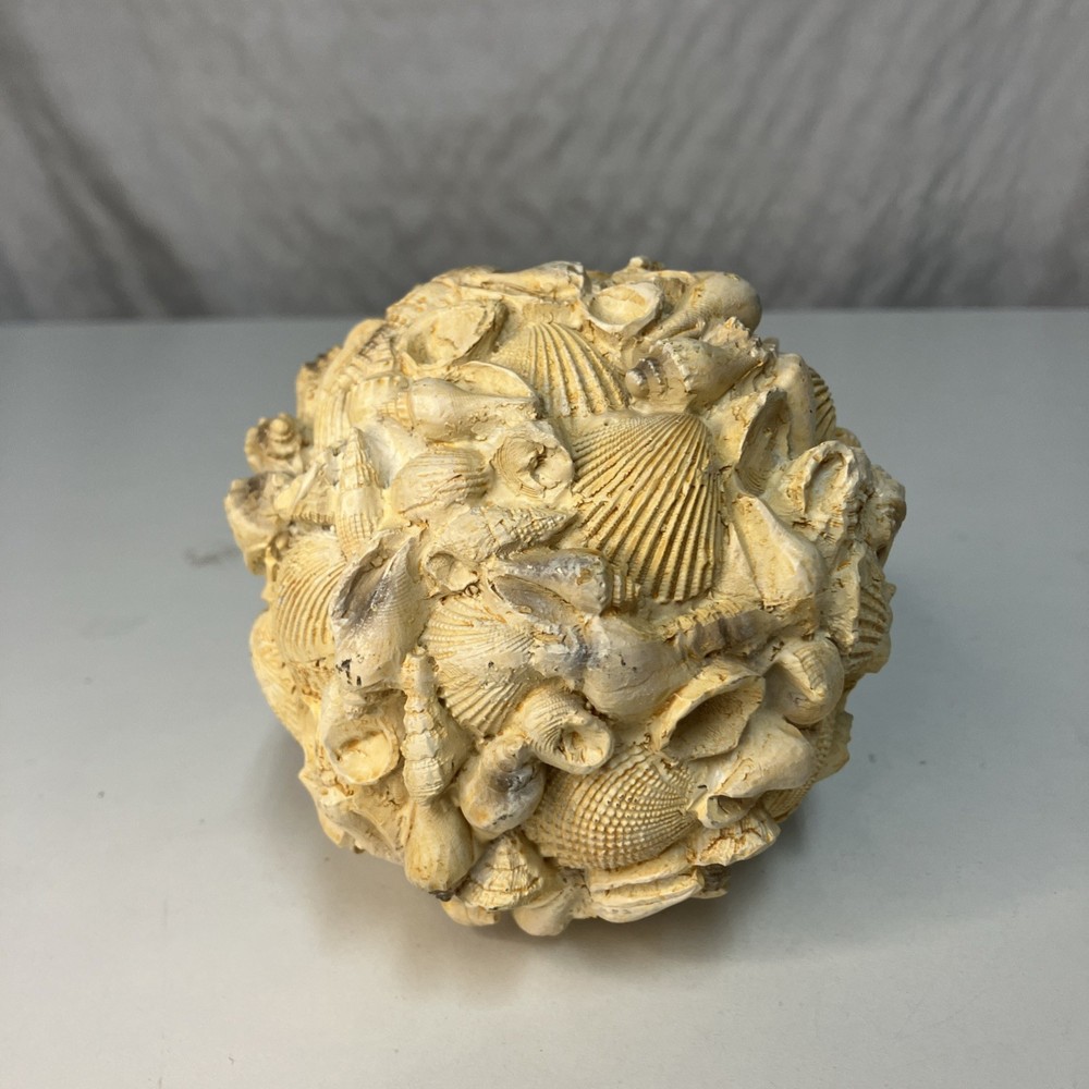 Authentic Sea Shells Round Orb Home Decor 4”x4” Beach Nautical
