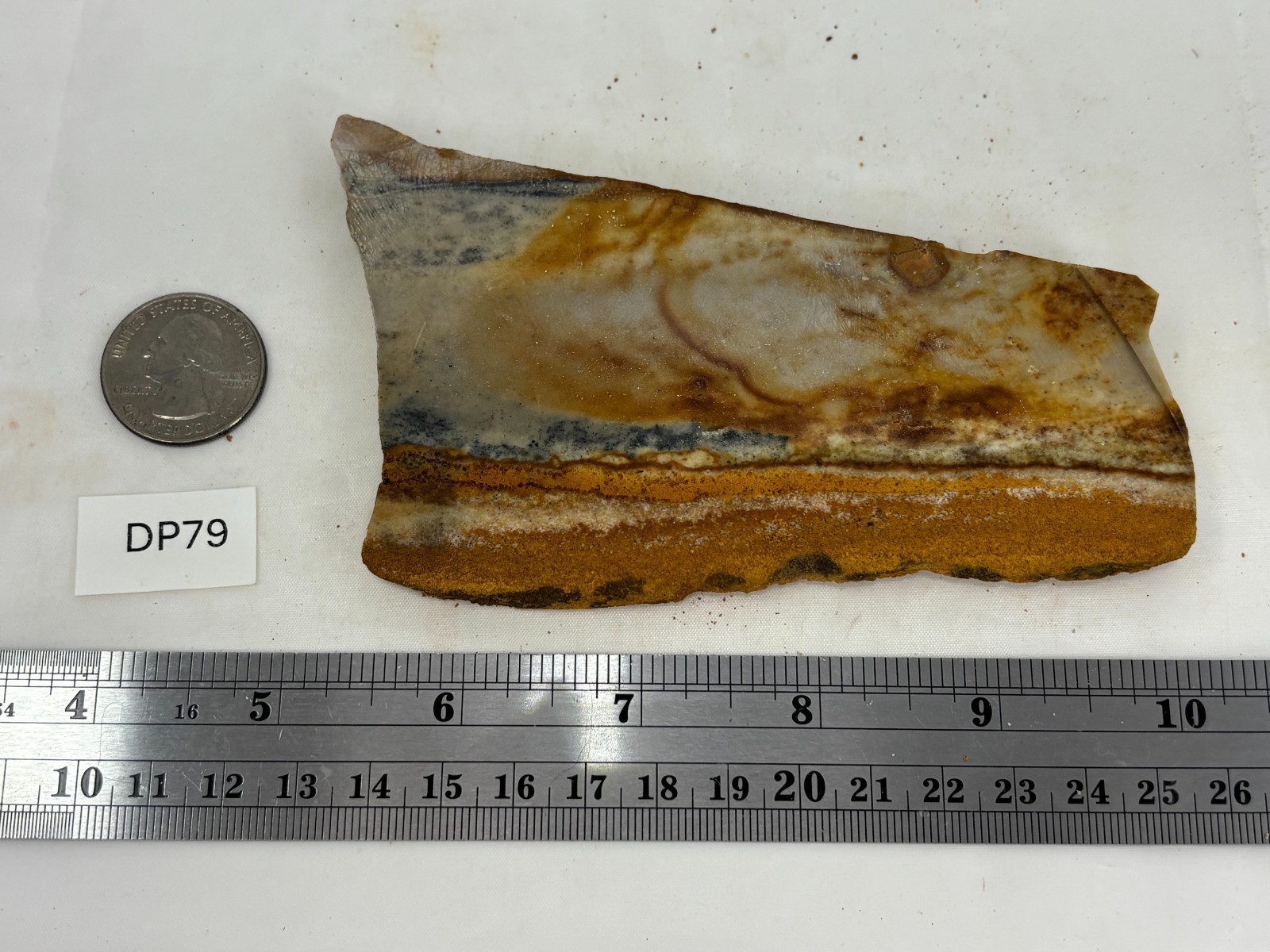 Disaster Peak Picture Jasper Slab Cabbing Lapidary Collecting Combo Ship Avail