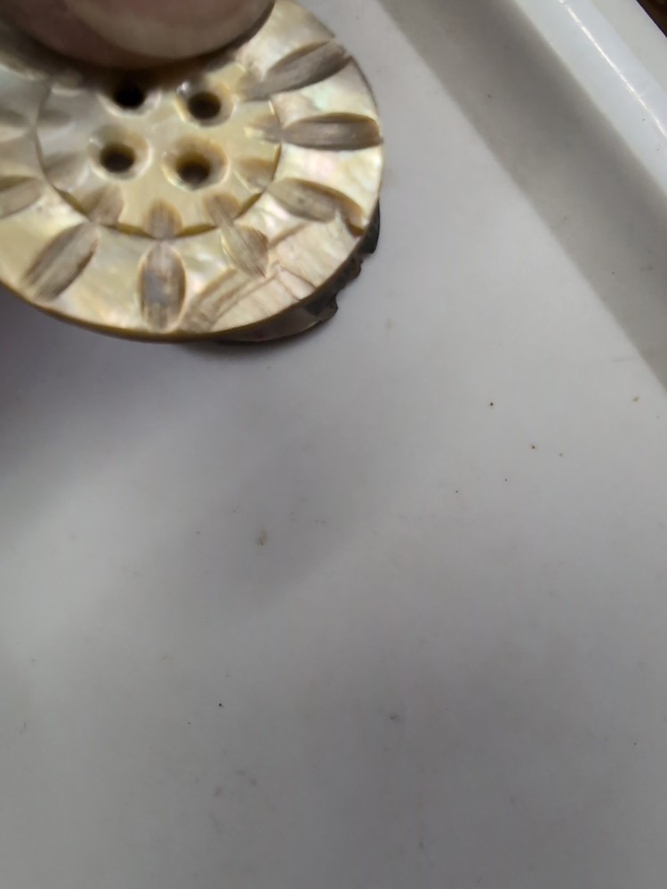 (10) Ablone Shell Buttons