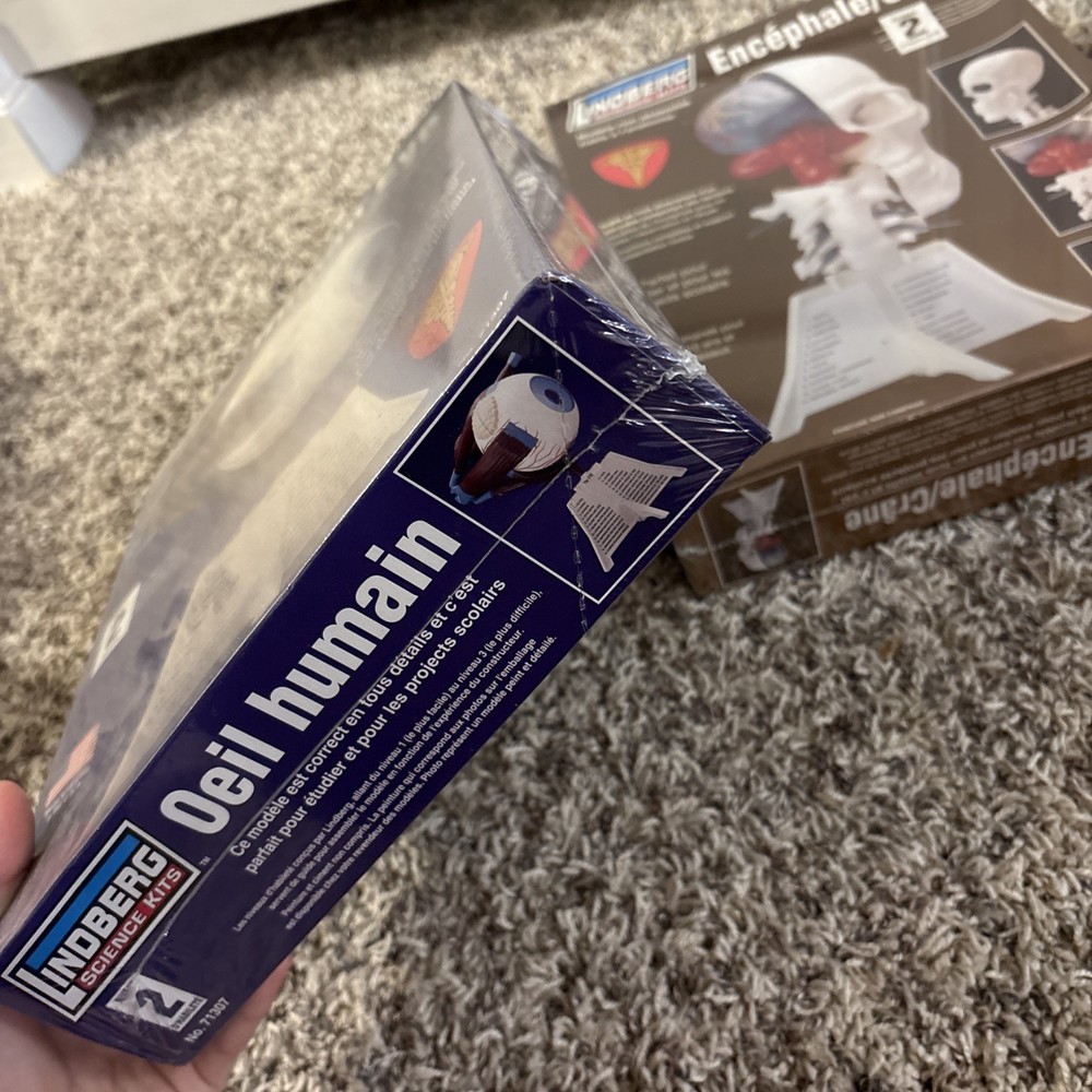 2 Lindberg Model Kits - Brain & Skull, Human Eye,