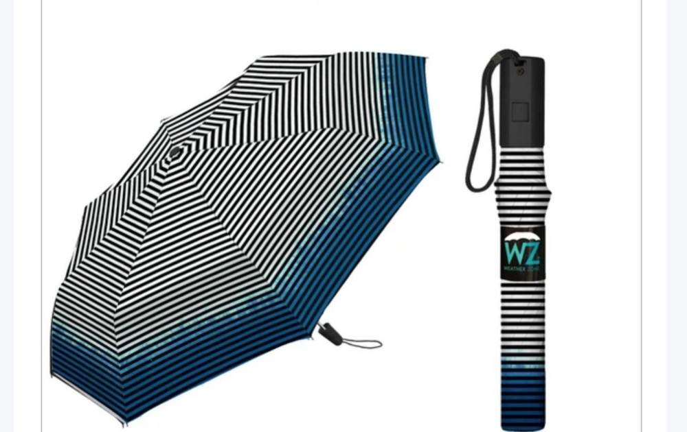 Weather Zone Men's Automatic Open Compact Folding Umbrella, Assorted Prints