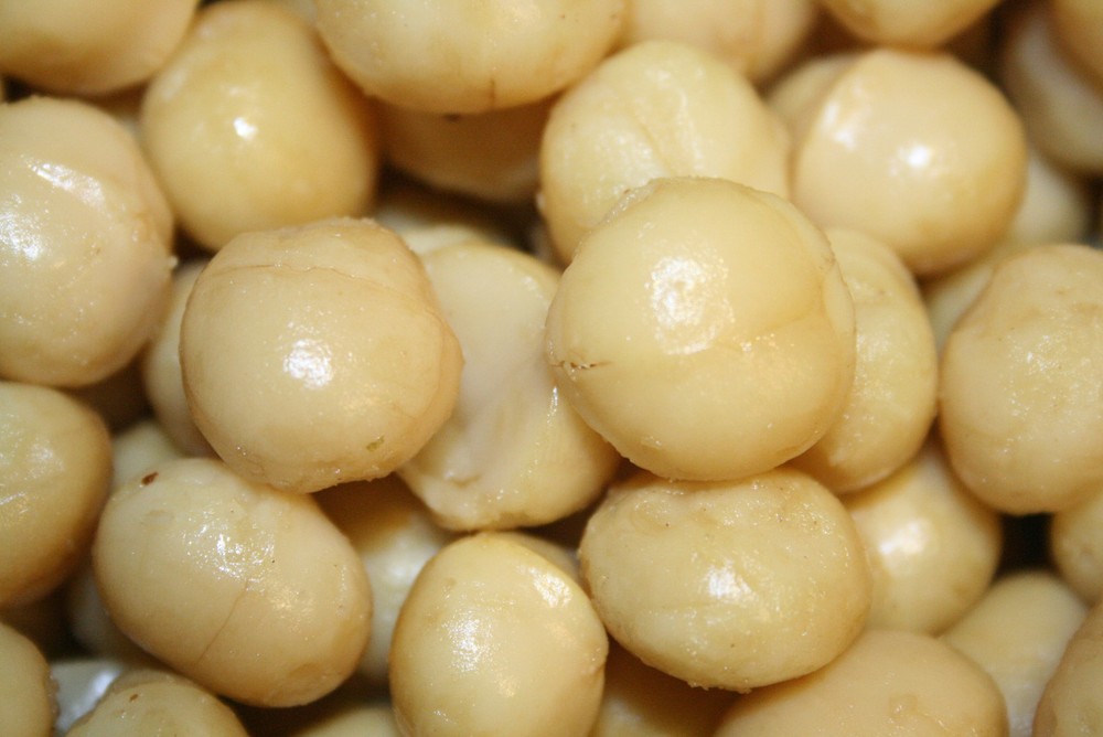 MACADAMIA NUTS ROASTED SALTED, 3LBS
