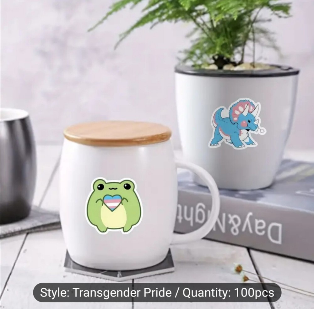 10 PCS Trans Queer Pride Stickers BRAND NEW