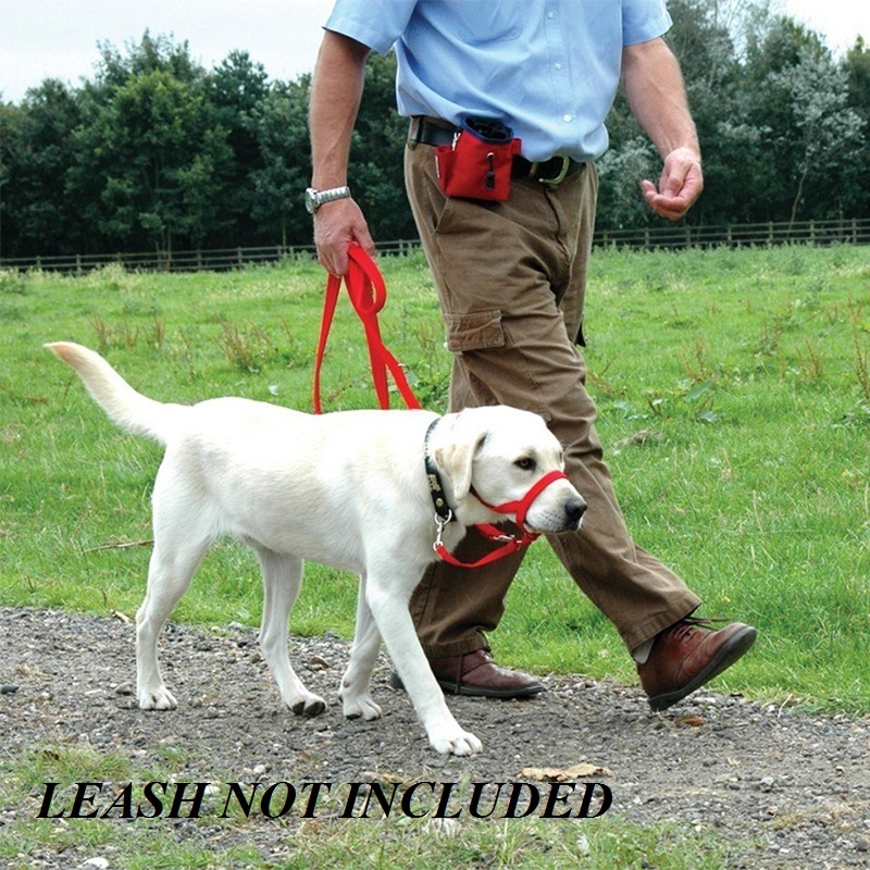 GENUINE HALTI DOG Head Collar NO PULL Slip Training HeadCollar STOP PULLING NEW!