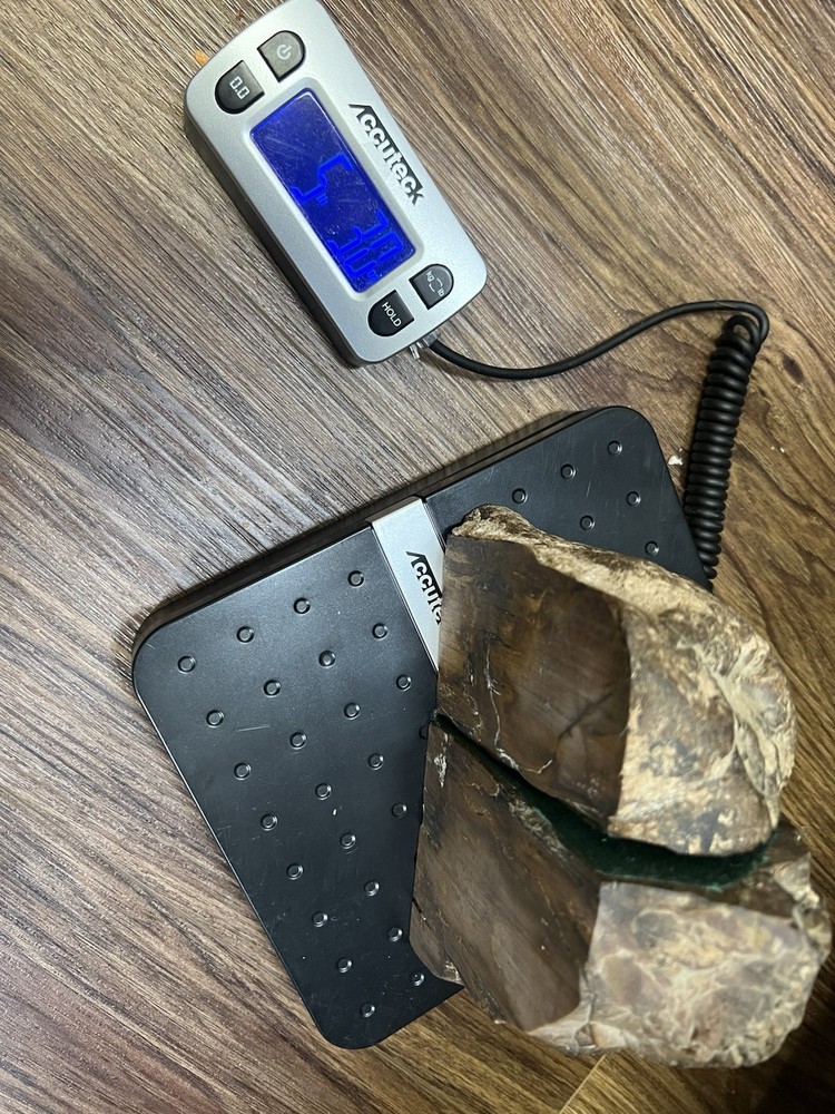 Petrified Wood Bookend Pair with felt padding