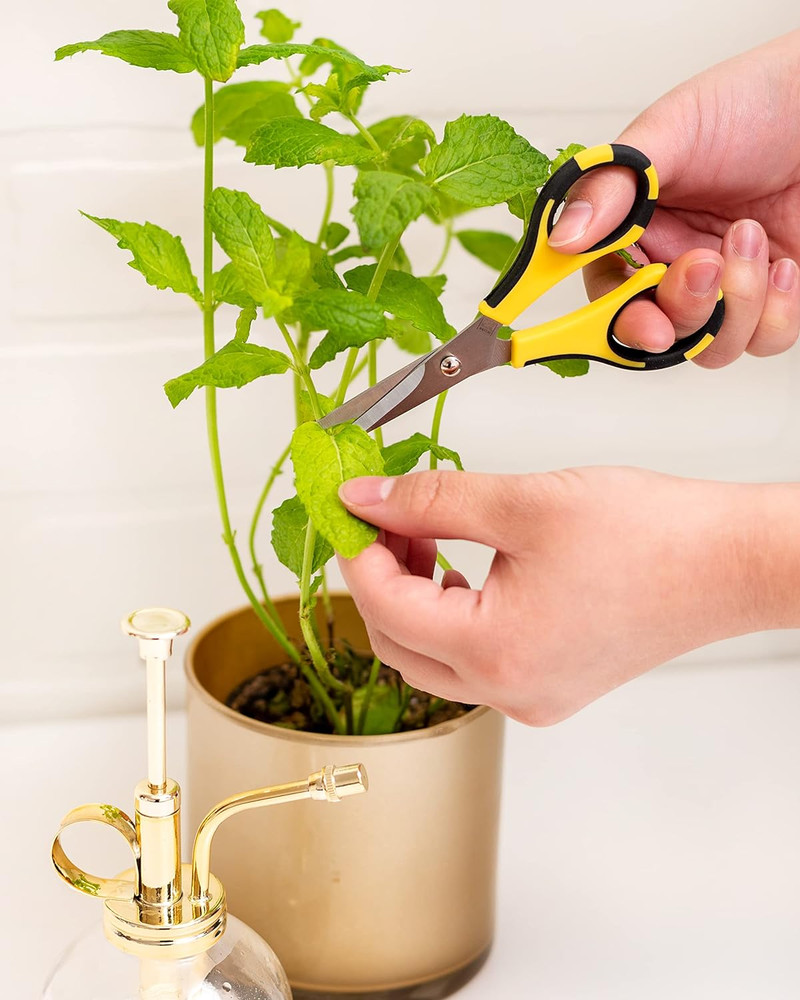 American Crafts Cutter Bee Herb Scissors 4/Pkg-Yellow/Black