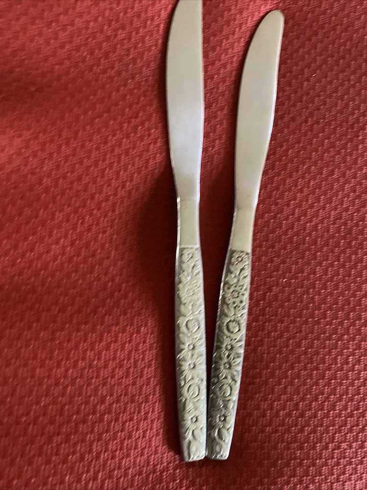 2 Oneida Malibu Stainless Dinner Knives