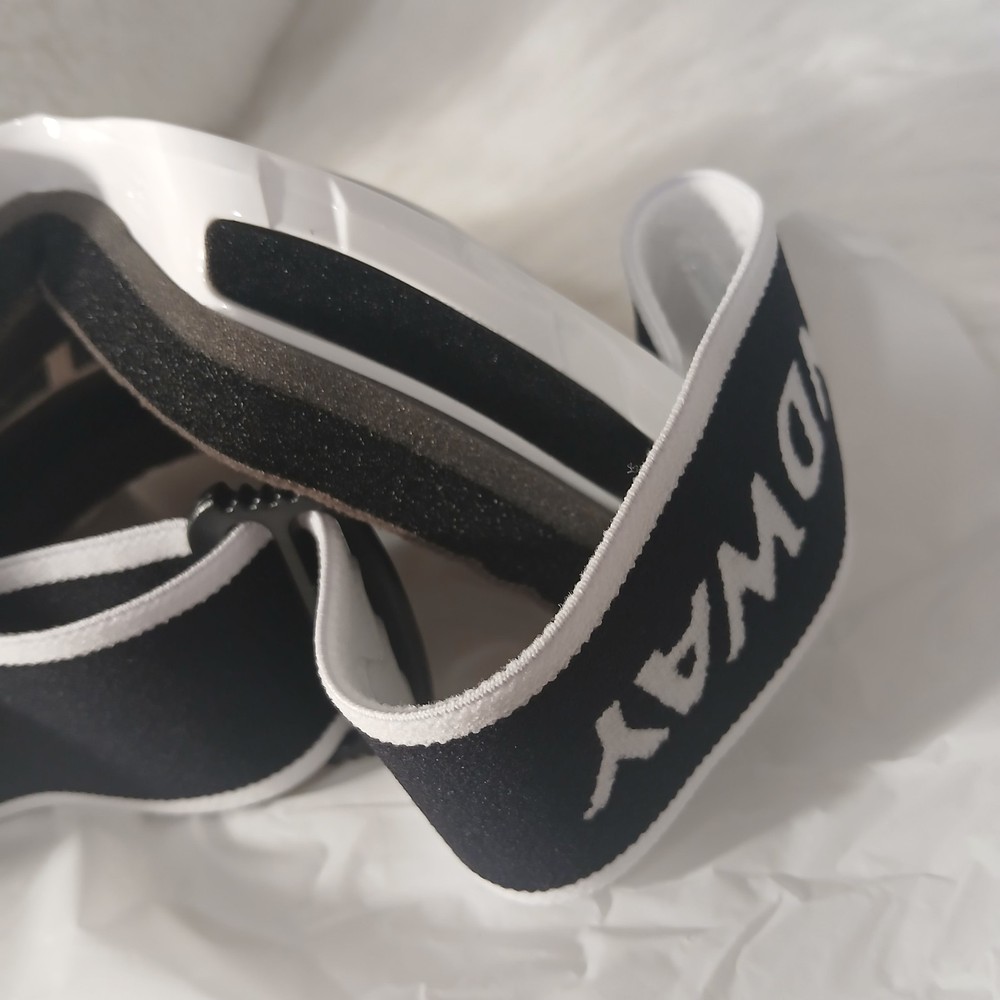 Ski Goggles
