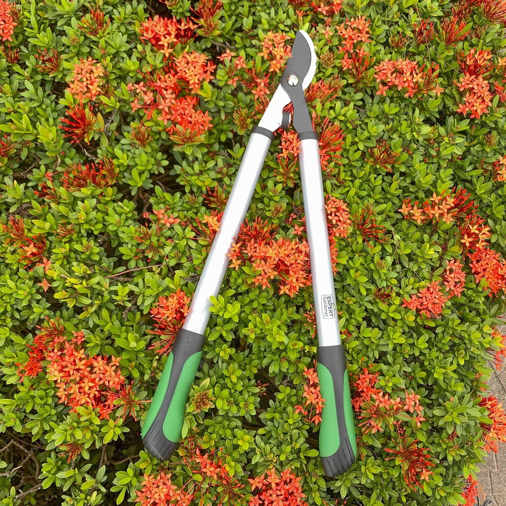 Steel Bypass Lopper Cutting Capacity