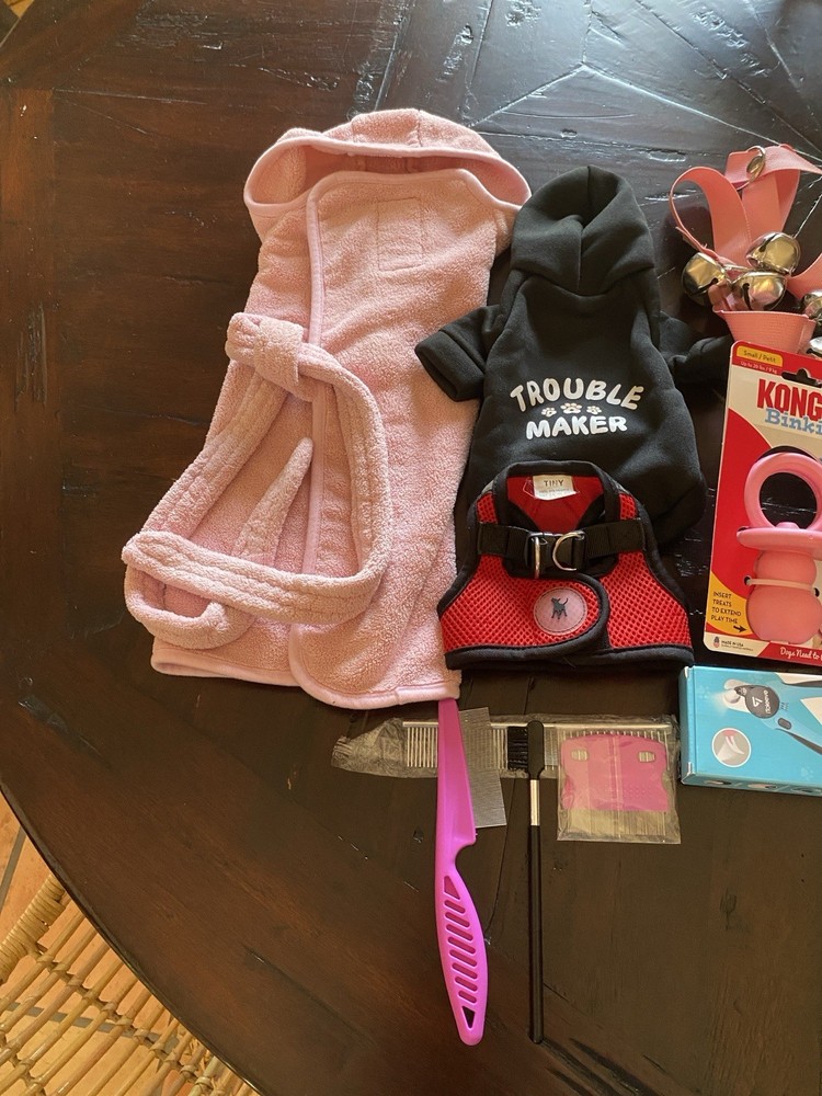 Small Dog Grooming And Other Stuff Bundle