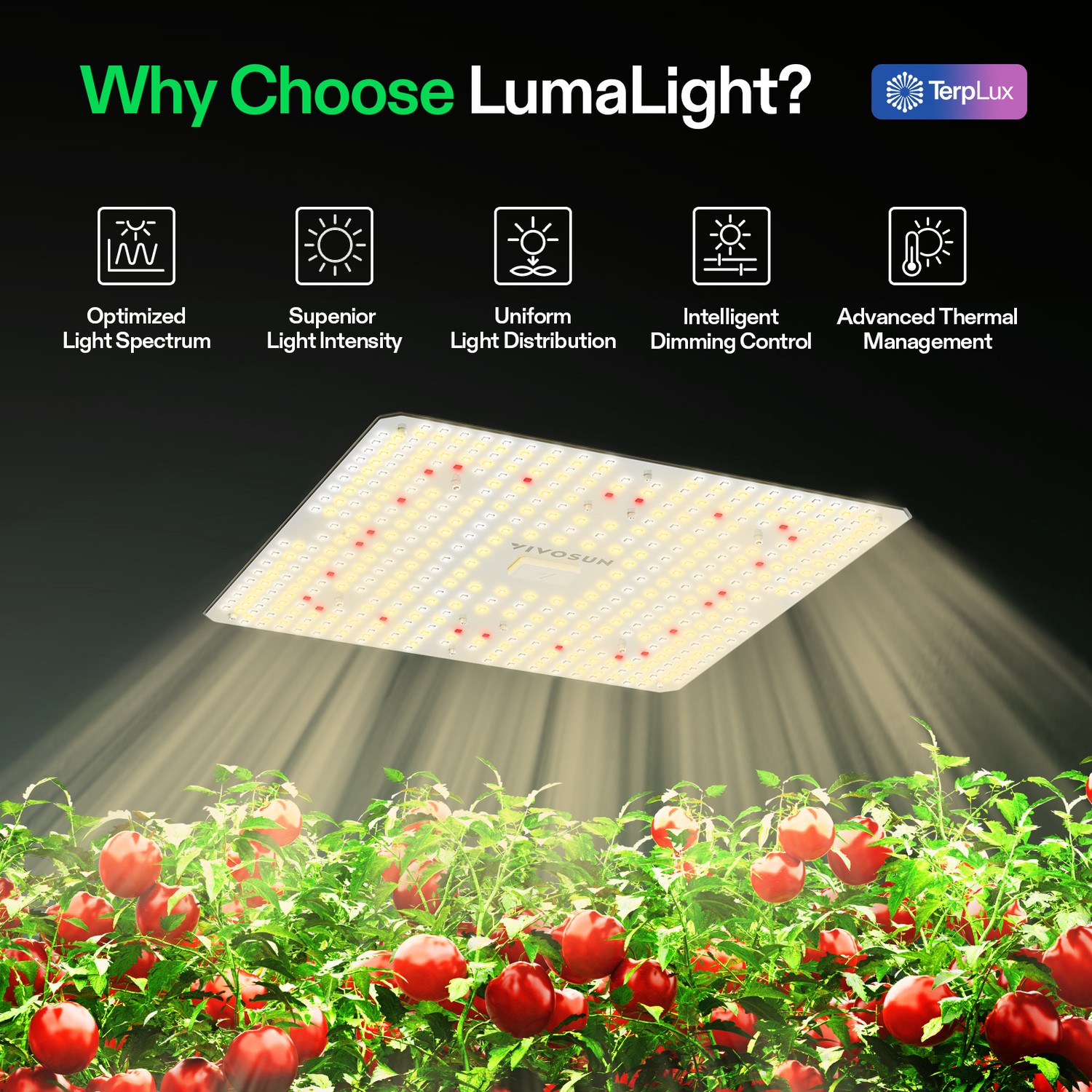 VIVOSUN 2.7x2.7ft Wifi Starter Grow Tent Kit 150W LED 4" Ventilation Kit w/ A22