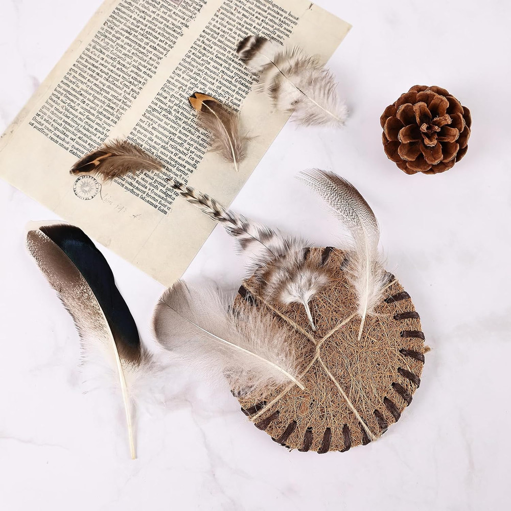 210Pcs 7 Styles Natural Bulk Feathers Assorted Mixed Feathers for DIY Cr