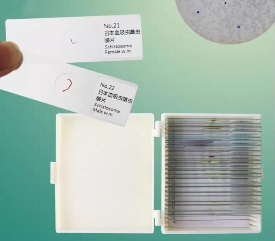 Parasites Microscope Specimen Slides for Parasitology Teaching Research 25pcs
