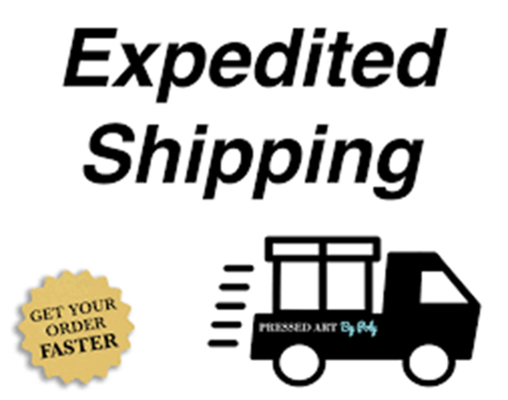 Extra Fee For Expedited Shipping