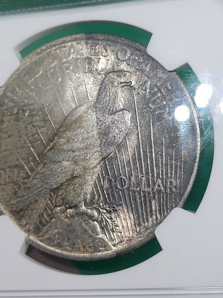 1923 $1 Peace Dollar NGC MS63 Toned